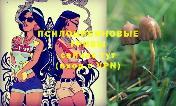дживик Балабаново