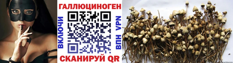 Псилоцибиновые грибы Cubensis  нарко площадка официальный сайт  Горняк 
